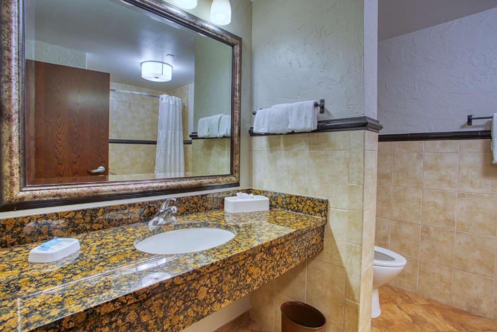 Drury Inn & Suites Near La Cantera Image 34
