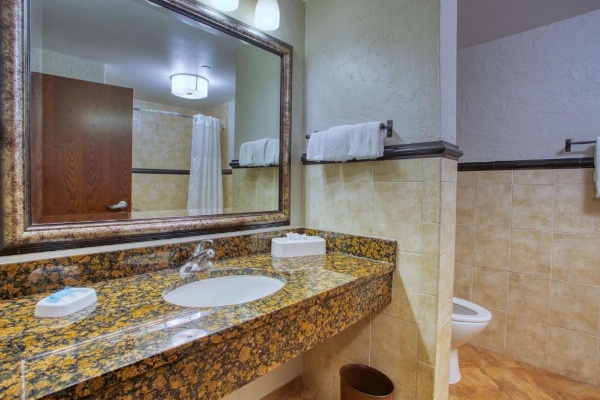 Drury Inn & Suites Near La Cantera image 34